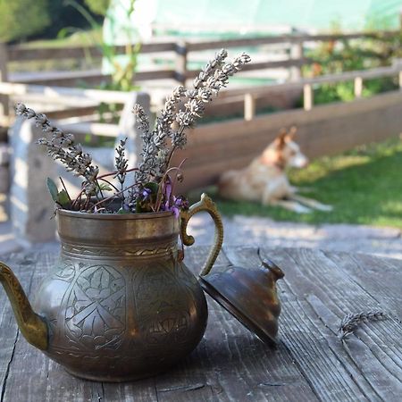 Agriturismo Athabaska San Lorenzo Dorsino Eksteriør bilde
