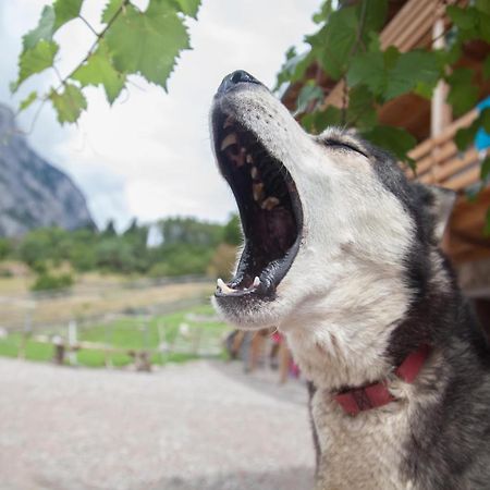 Agriturismo Athabaska San Lorenzo Dorsino Eksteriør bilde