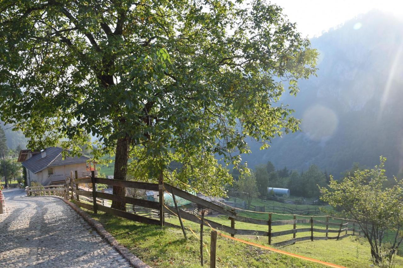 Agriturismo Athabaska San Lorenzo Dorsino Eksteriør bilde