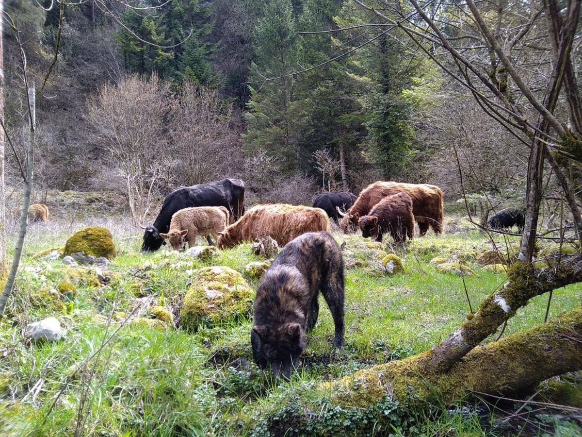 Agriturismo Athabaska San Lorenzo Dorsino Eksteriør bilde