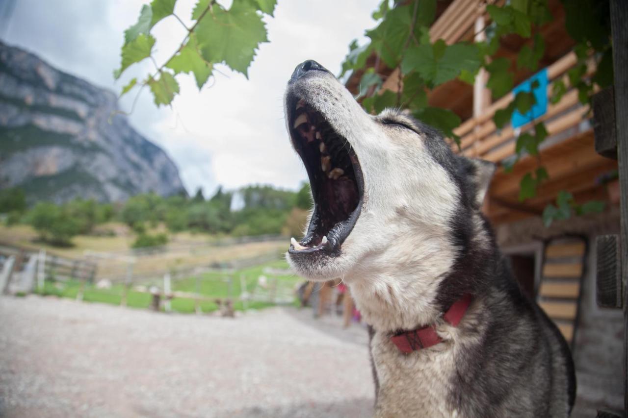 Agriturismo Athabaska San Lorenzo Dorsino Eksteriør bilde